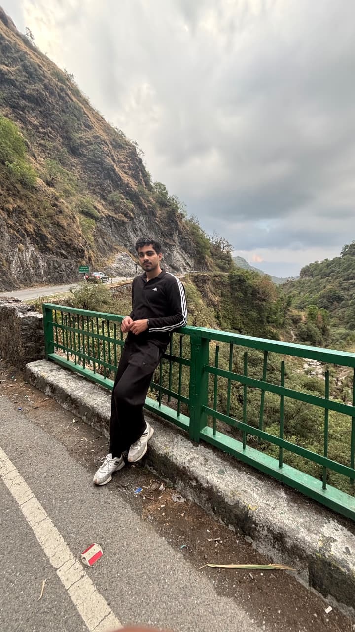 Dev beside a mountain road and green railing